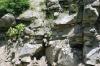 <img100*0:stuff/z/169023/Rock%2520Face3/i1279823392_30.jpg>