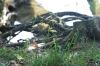 <img100*0:stuff/z/169023/Root%2520Reference.2/i1278780025_6.jpg>