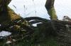 <img100*0:stuff/z/169023/Root%2520Reference.2/i1278780027_18.jpg>
