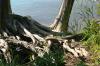 <img100*0:stuff/z/169023/Root%2520Reference.2/i1278780029_27.jpg>