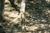 <img100*0:stuff/z/169023/Root%2520Reference.2/i1278780029_28.jpg>
