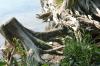 <img100*0:stuff/z/169023/Root%2520Reference.2/i1278780029_32.jpg>