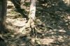 <img100*0:stuff/z/169023/Root%2520Reference.2/i1278780030_34.jpg>