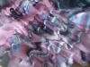 <img100*0:stuff/z/169023/Ruffle%2520Plaid%252023/i1259524042_11.jpg>