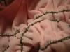 <img100*0:stuff/z/169023/Ruffled/i1263582298_12.jpg>