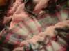 <img100*0:stuff/z/169023/Ruffled/i1263582298_3.jpg>
