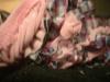 <img100*0:stuff/z/169023/Ruffled/i1263582298_4.jpg>