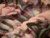 <img100*0:stuff/z/169023/Ruffled/i1263582298_8.jpg>