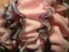 <img100*0:stuff/z/169023/Ruffled/i1263582299_23.jpg>