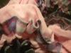 <img100*0:stuff/z/169023/Ruffled/i1263582299_33.jpg>