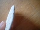 <img0*100:stuff/z/169023/Sand%2520Dollar24/i1258665549_13.jpg>