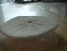 <img0*100:stuff/z/169023/Sand%2520Dollar24/i1258665550_17.jpg>
