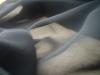 <img100*0:stuff/z/169023/Sheer%2520Black%252024/i1259524152_18.jpg>