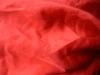 <img100*0:stuff/z/169023/Sheer%2520Red%252024/i1259525069_1.jpg>