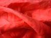<img100*0:stuff/z/169023/Sheer%2520Red%252024/i1259525069_2.jpg>