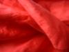 <img100*0:stuff/z/169023/Sheer%2520Red%252024/i1259525070_11.jpg>
