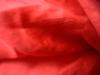 <img100*0:stuff/z/169023/Sheer%2520Red%252024/i1259525070_14.jpg>