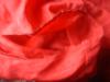 <img100*0:stuff/z/169023/Sheer%2520Red%252024/i1259525070_15.jpg>