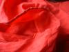 <img100*0:stuff/z/169023/Sheer%2520Red%252024/i1259525070_18.jpg>