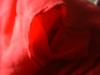 <img100*0:stuff/z/169023/Sheer%2520Red%252024/i1259525070_9.jpg>