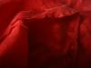 <img100*0:stuff/z/169023/Sheer%2520Red%252024/i1259525071_24.jpg>
