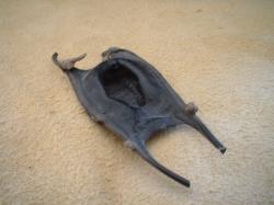 <img250*0:stuff/z/169023/Skate%2520Egg%2520Case/i1255995603_10.jpg>