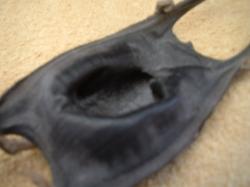 <img250*0:stuff/z/169023/Skate%2520Egg%2520Case/i1255995603_11.jpg>