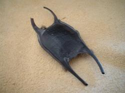 <img250*0:stuff/z/169023/Skate%2520Egg%2520Case/i1255995603_14.jpg>