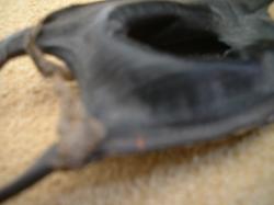 <img250*0:stuff/z/169023/Skate%2520Egg%2520Case/i1255995603_17.jpg>