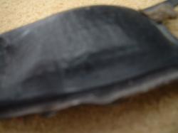 <img250*0:stuff/z/169023/Skate%2520Egg%2520Case/i1255995604_18.jpg>