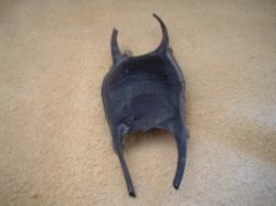 <img250*0:stuff/z/169023/Skate%2520Egg%2520Case/i1255995604_20.jpg>