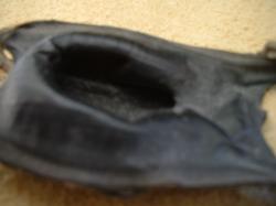 <img250*0:stuff/z/169023/Skate%2520Egg%2520Case/i1255995604_23.jpg>