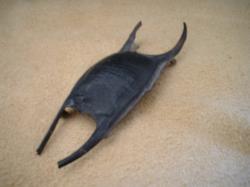<img250*0:stuff/z/169023/Skate%2520Egg%2520Case/i1255995604_26.jpg>