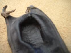 <img250*0:stuff/z/169023/Skate%2520Egg%2520Case/i1255995605_29.jpg>