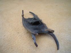 <img250*0:stuff/z/169023/Skate%2520Egg%2520Case/i1255995606_40.jpg>