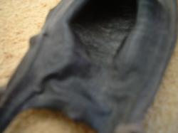 <img250*0:stuff/z/169023/Skate%2520Egg%2520Case/i1255995606_41.jpg>