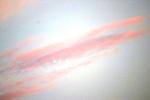 <img150*0:stuff/z/169023/Sky%2520Photos.2/i1278458872_9.jpg>