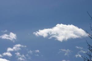 <img300*0:stuff/z/169023/Sky./i1276198289_35.jpg>