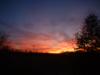 <img100*0:stuff/z/169023/Sky3/i1258577135_1.jpg>