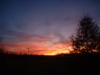 <img100*0:stuff/z/169023/Sky3/i1258577136_3.jpg>