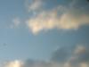 <img100*0:stuff/z/169023/Sky41/i1259708863_11.jpg>