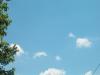 <img100*0:stuff/z/169023/Skyy/i1258664063_1.jpg>