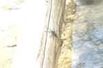 <img150*0:stuff/z/169023/Spider%2520Reference.1/i1278616091_2.jpg>