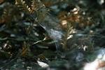 <img150*0:stuff/z/169023/Spider%2520Web%2520Reference/i1278616430_14.jpg>