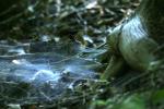 <img150*0:stuff/z/169023/Spider%2520Web%2520Reference/i1278616430_16.jpg>