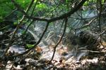 <img150*0:stuff/z/169023/Spider%2520Web%2520Reference/i1278616432_37.jpg>