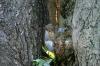 <img100*0:stuff/z/169023/Squirrel.4/i1277162363_5.jpg>