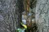 <img100*0:stuff/z/169023/Squirrel.4/i1277162364_11.jpg>