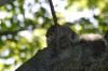 <img100*0:stuff/z/169023/Squirrel.4/i1277162364_8.jpg>