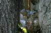 <img100*0:stuff/z/169023/Squirrel.4/i1277162365_22.jpg>